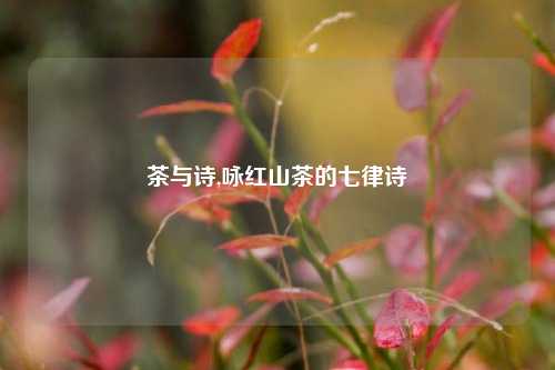 茶与诗,咏红山茶的七律诗