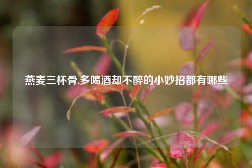 燕麦三杯骨,多喝酒却不醉的小妙招都有哪些