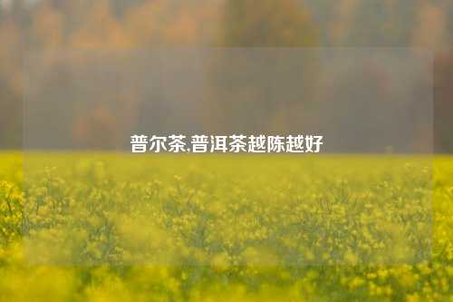 普尔茶,普洱茶越陈越好