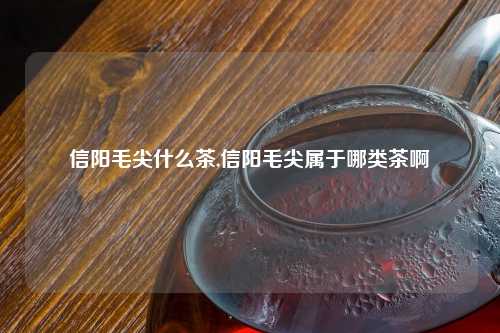 信阳毛尖什么茶,信阳毛尖属于哪类茶啊