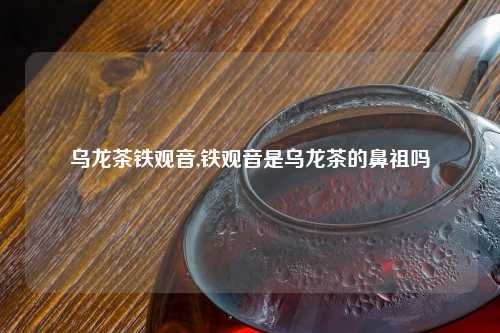 乌龙茶铁观音,铁观音是乌龙茶的鼻祖吗