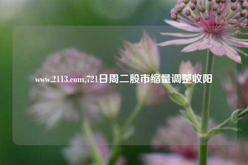 www.2113.com,721日周二股市缩量调整收阳