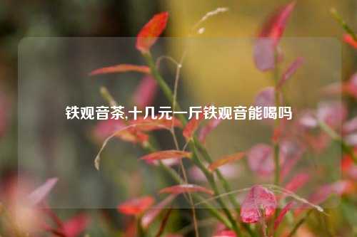 铁观音茶,十几元一斤铁观音能喝吗