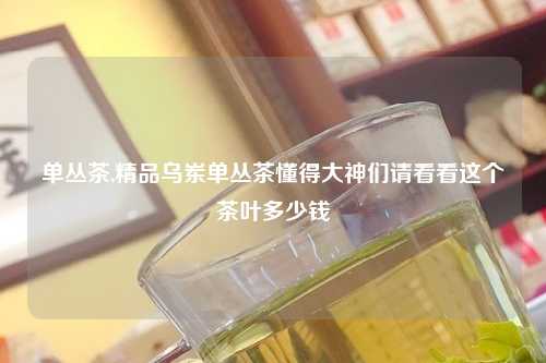 单丛茶,精品乌岽单丛茶懂得大神们请看看这个茶叶多少钱
