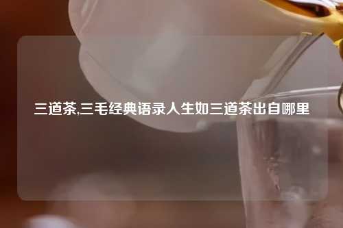 三道茶,三毛经典语录人生如三道茶出自哪里