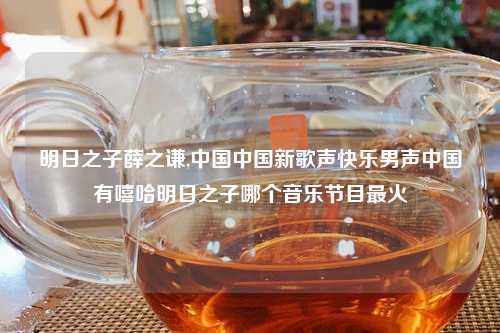 明日之子薛之谦,中国中国新歌声快乐男声中国有嘻哈明日之子哪个音乐节目最火