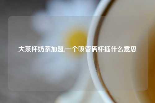 大茶杯奶茶加盟,一个吸管俩杯插什么意思