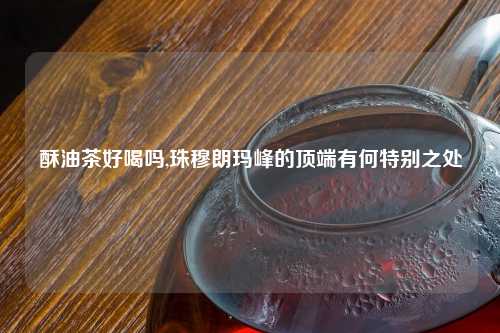 酥油茶好喝吗,珠穆朗玛峰的顶端有何特别之处