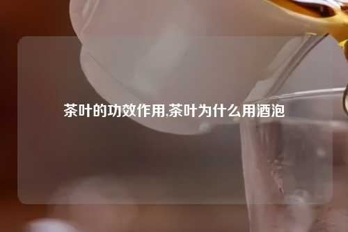 茶叶的功效作用,茶叶为什么用酒泡