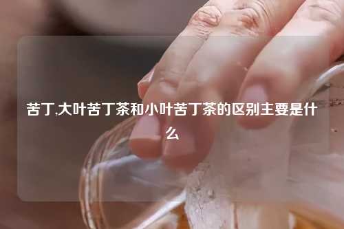 苦丁,大叶苦丁茶和小叶苦丁茶的区别主要是什么