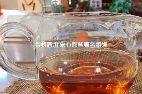名将酒,北宋有哪些著名将领