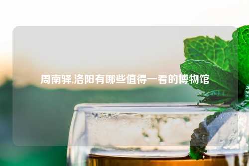 周南驿,洛阳有哪些值得一看的博物馆