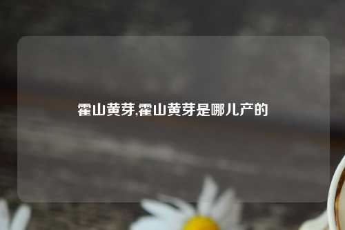 霍山黄芽,霍山黄芽是哪儿产的