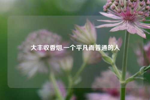 大丰收香烟,一个平凡而普通的人