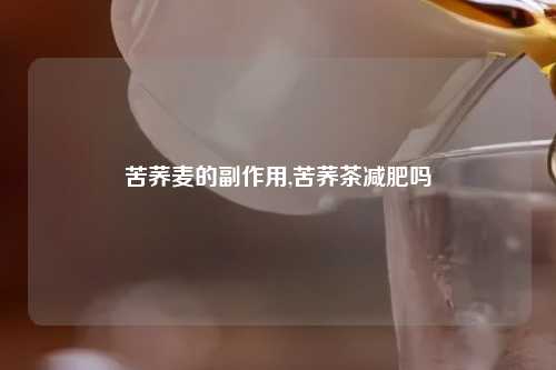 苦荞麦的副作用,苦荞茶减肥吗