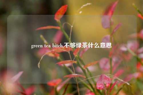 green tea bitch,不够绿茶什么意思