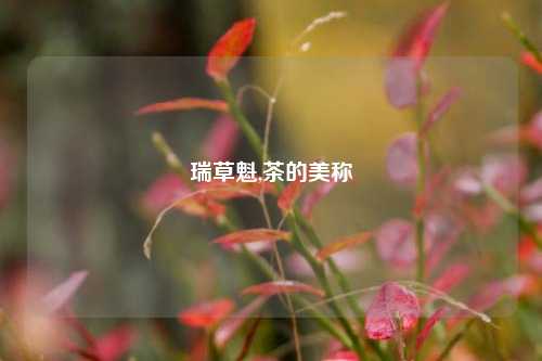 瑞草魁,茶的美称