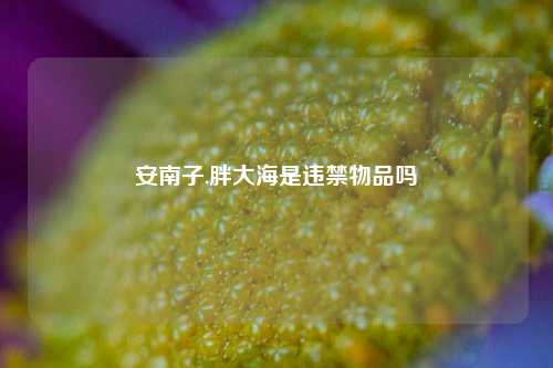 安南子,胖大海是违禁物品吗