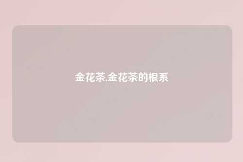 金花茶,金花茶的根系