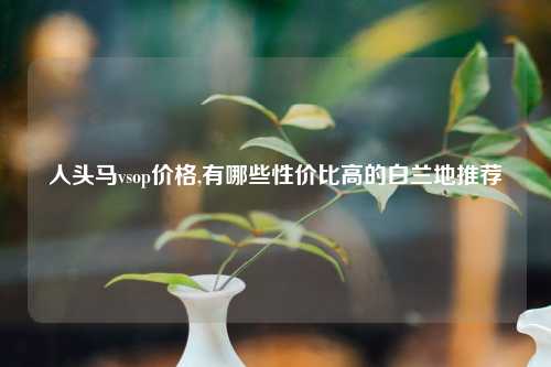 人头马vsop价格,有哪些性价比高的白兰地推荐