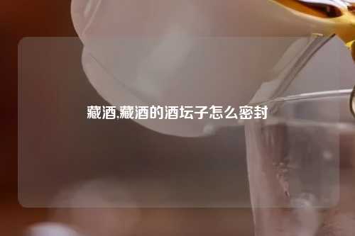 藏酒,藏酒的酒坛子怎么密封