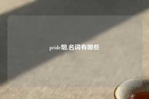 pride烟,名词有哪些