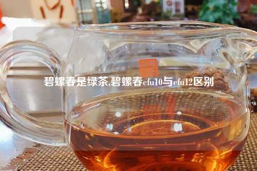 碧螺春是绿茶,碧螺春efu10与efu12区别