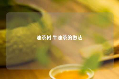 油茶树,牛油茶的做法