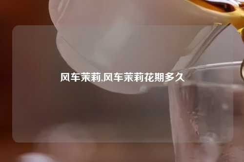 风车茉莉,风车茉莉花期多久