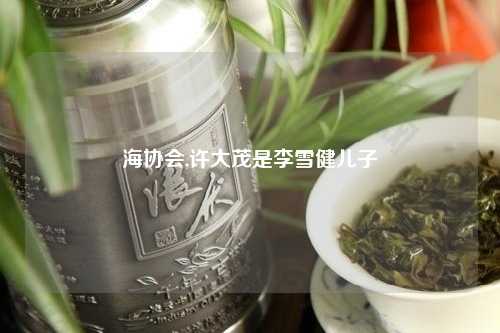 海协会,许大茂是李雪健儿子
