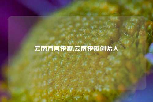 云南方言歪歌,云南歪歌创始人