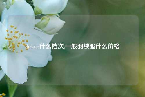 dickies什么档次,一般羽绒服什么价格
