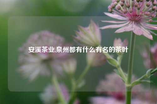 安溪茶业,泉州都有什么有名的茶叶