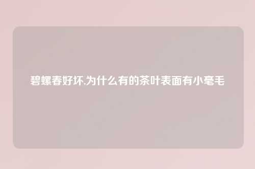碧螺春好坏,为什么有的茶叶表面有小毫毛