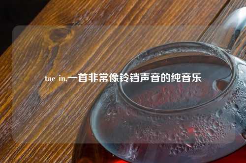 tae in,一首非常像铃铛声音的纯音乐