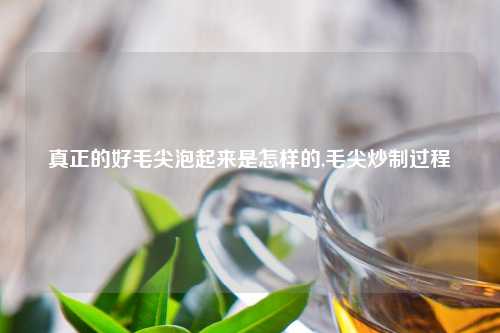 真正的好毛尖泡起来是怎样的,毛尖炒制过程