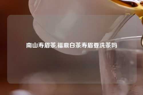 南山寿眉茶,福鼎白茶寿眉要洗茶吗