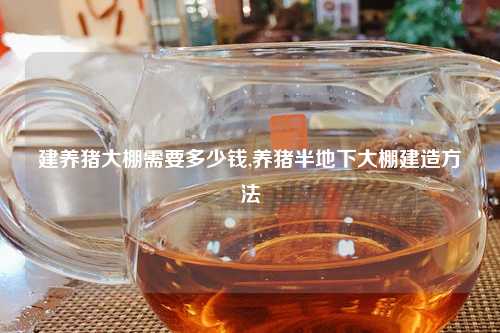 建养猪大棚需要多少钱,养猪半地下大棚建造方法