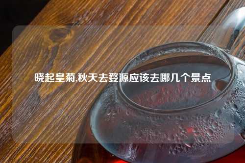 晓起皇菊,秋天去婺源应该去哪几个景点