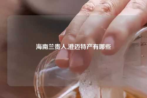 海南兰贵人,澄迈特产有哪些