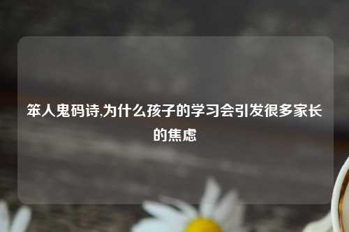 笨人鬼码诗,为什么孩子的学习会引发很多家长的焦虑