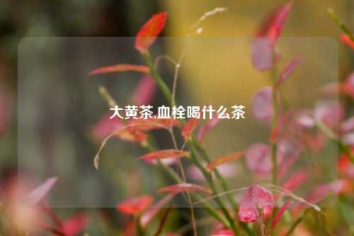 大黄茶,血栓喝什么茶