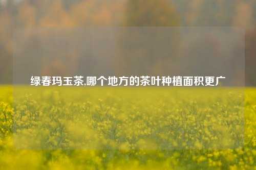 绿春玛玉茶,哪个地方的茶叶种植面积更广