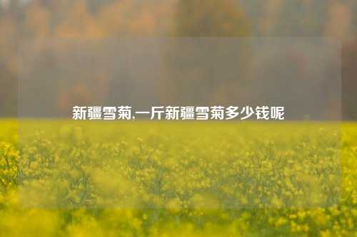 新疆雪菊,一斤新疆雪菊多少钱呢