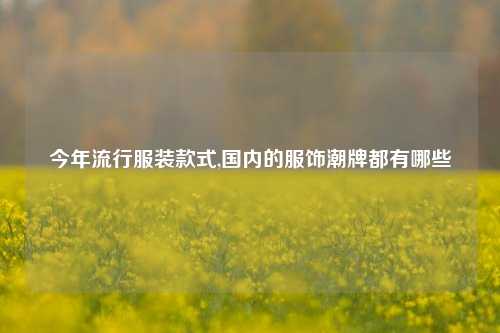 今年流行服装款式,国内的服饰潮牌都有哪些