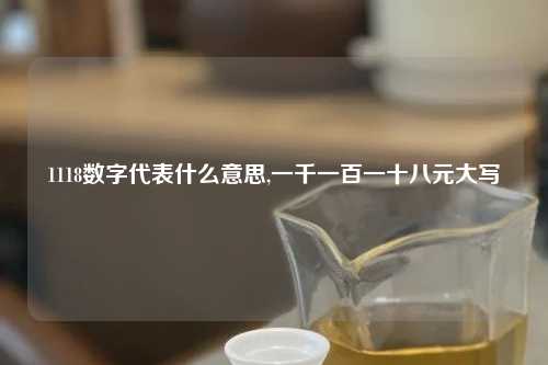 1118数字代表什么意思,一千一百一十八元大写