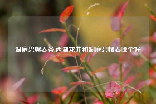 洞庭碧螺春茶,西湖龙井和洞庭碧螺春哪个好