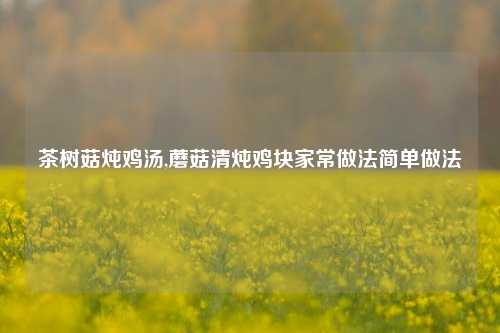 茶树菇炖鸡汤,蘑菇清炖鸡块家常做法简单做法