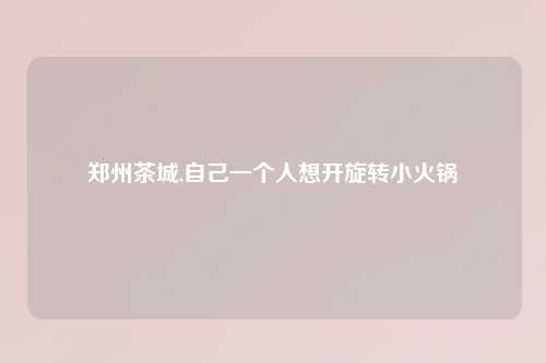 郑州茶城,自己一个人想开旋转小火锅