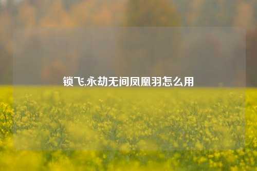 锁飞,永劫无间凤凰羽怎么用
